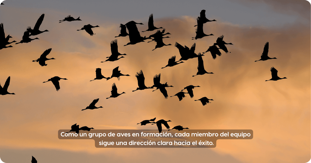 Productividad en las empresas