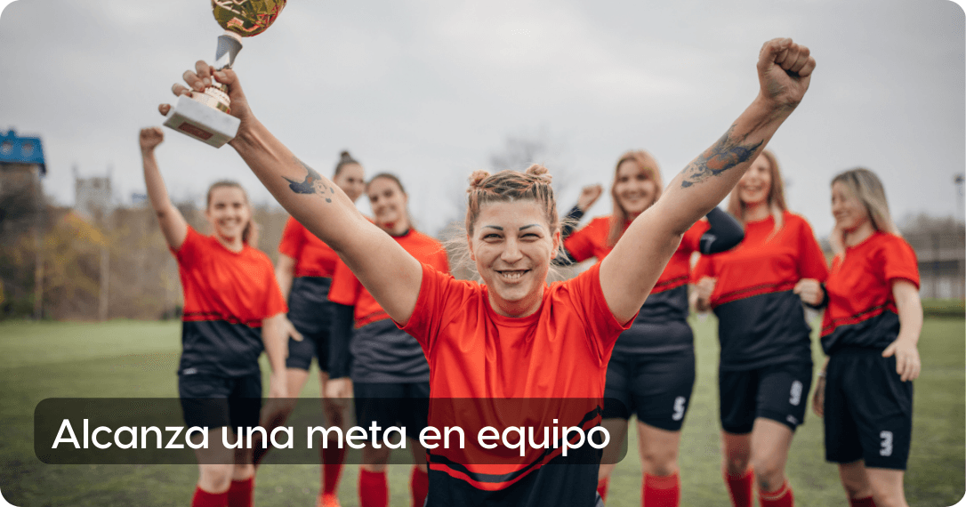 Colaboración transversal 
