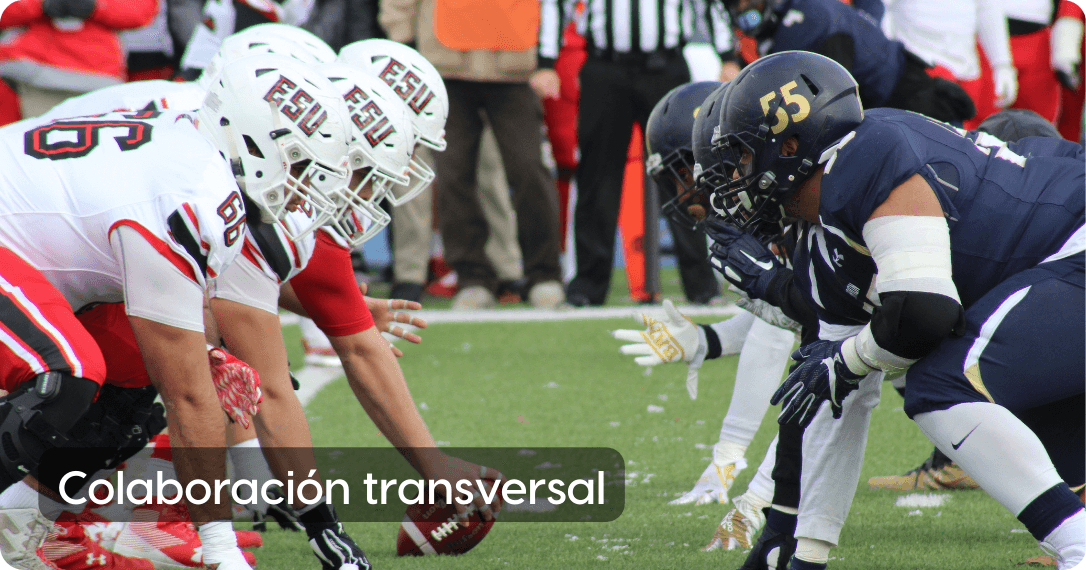 Colaboración transversal 