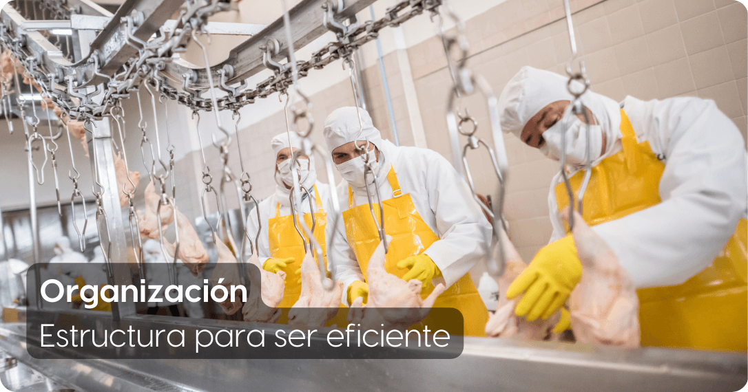 Funciones de la administracion. Organización