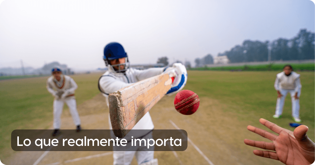 equipos transversales