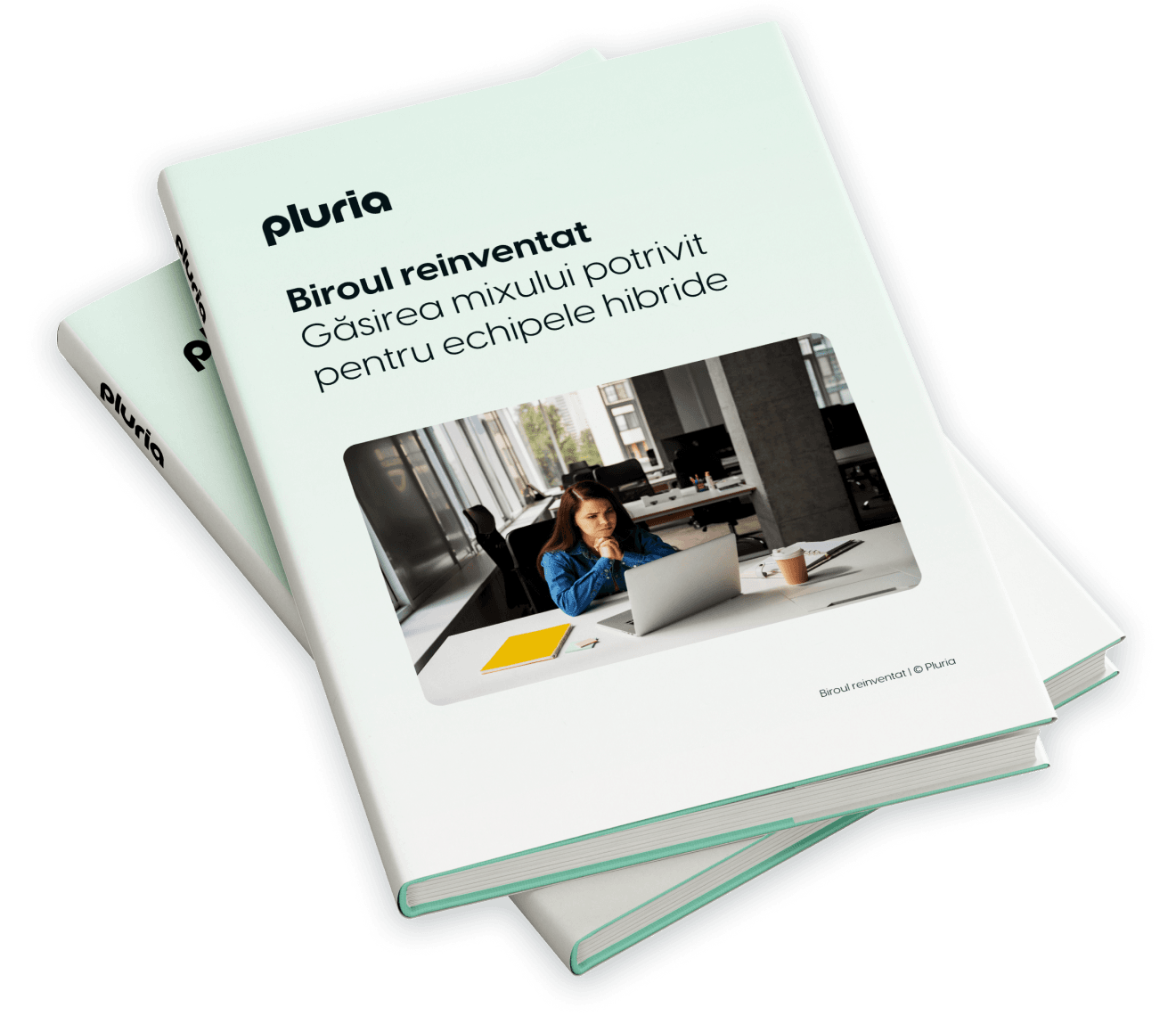 Biroul reinventat, eBook Pluria